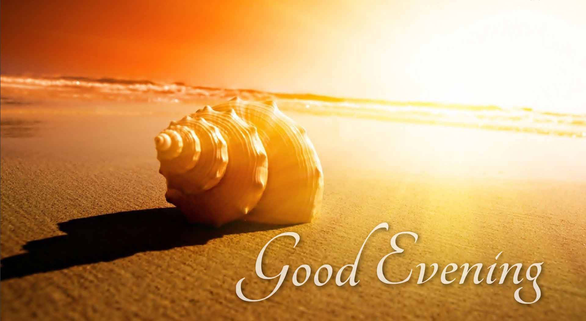 Good Evening Shell Background