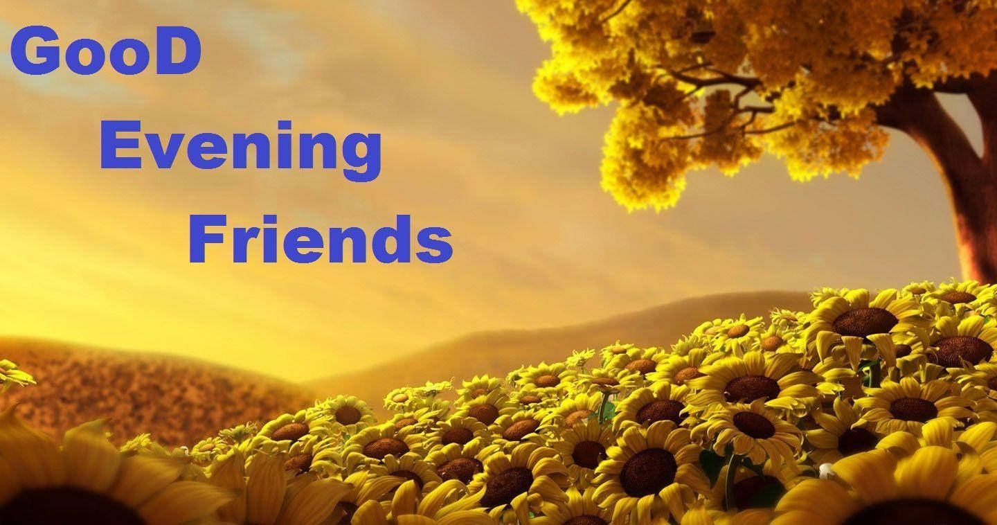 Good Evening Sunflowers Background