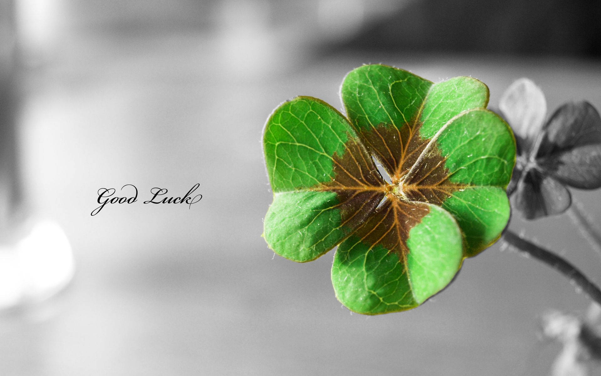 Good Luck St Patrick's Day Background