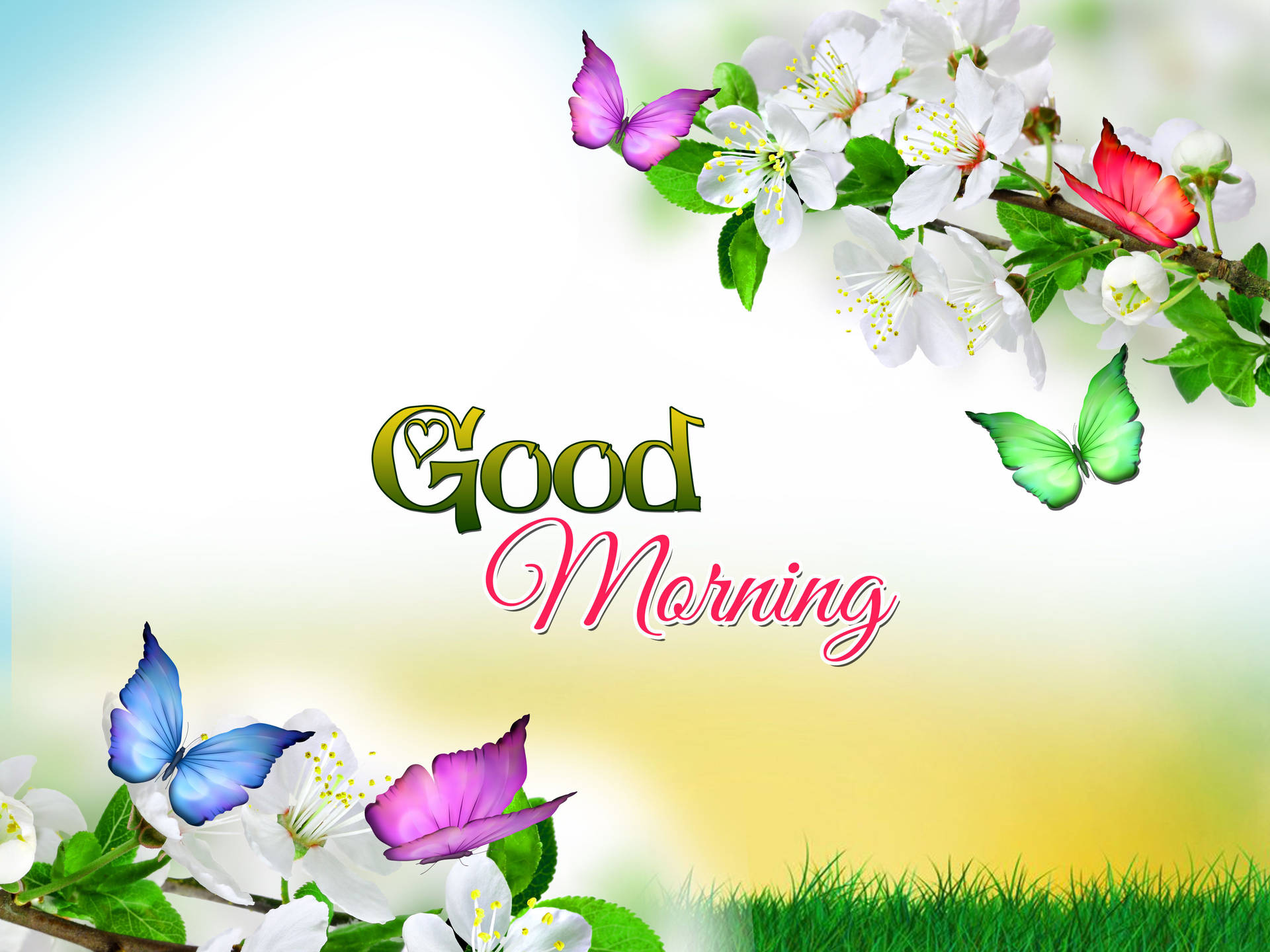 Good Morning Flowers Butterfly Background