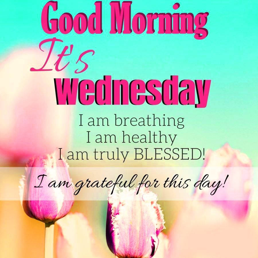Good Morning Happy Wednesday Quote Background
