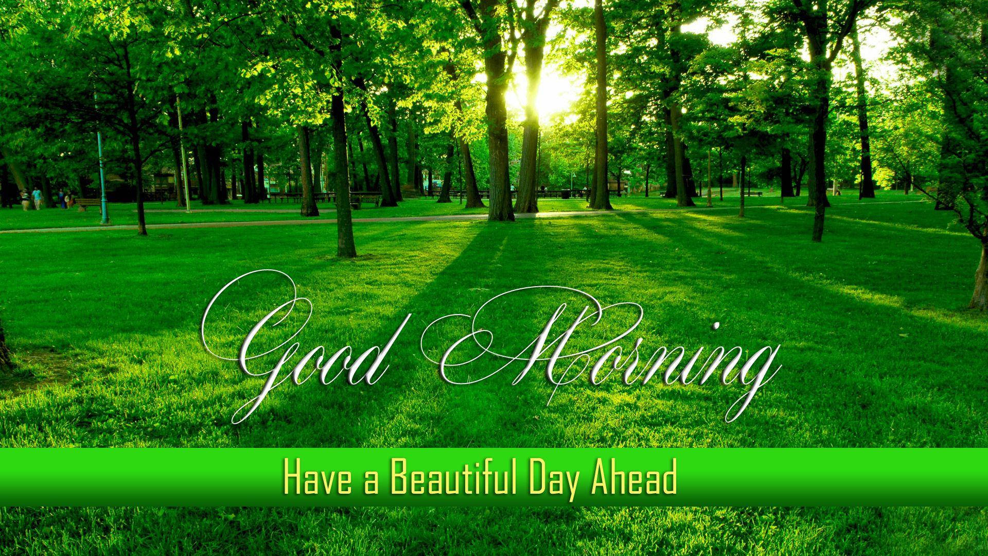 Good Morning Hd With Greenery Background