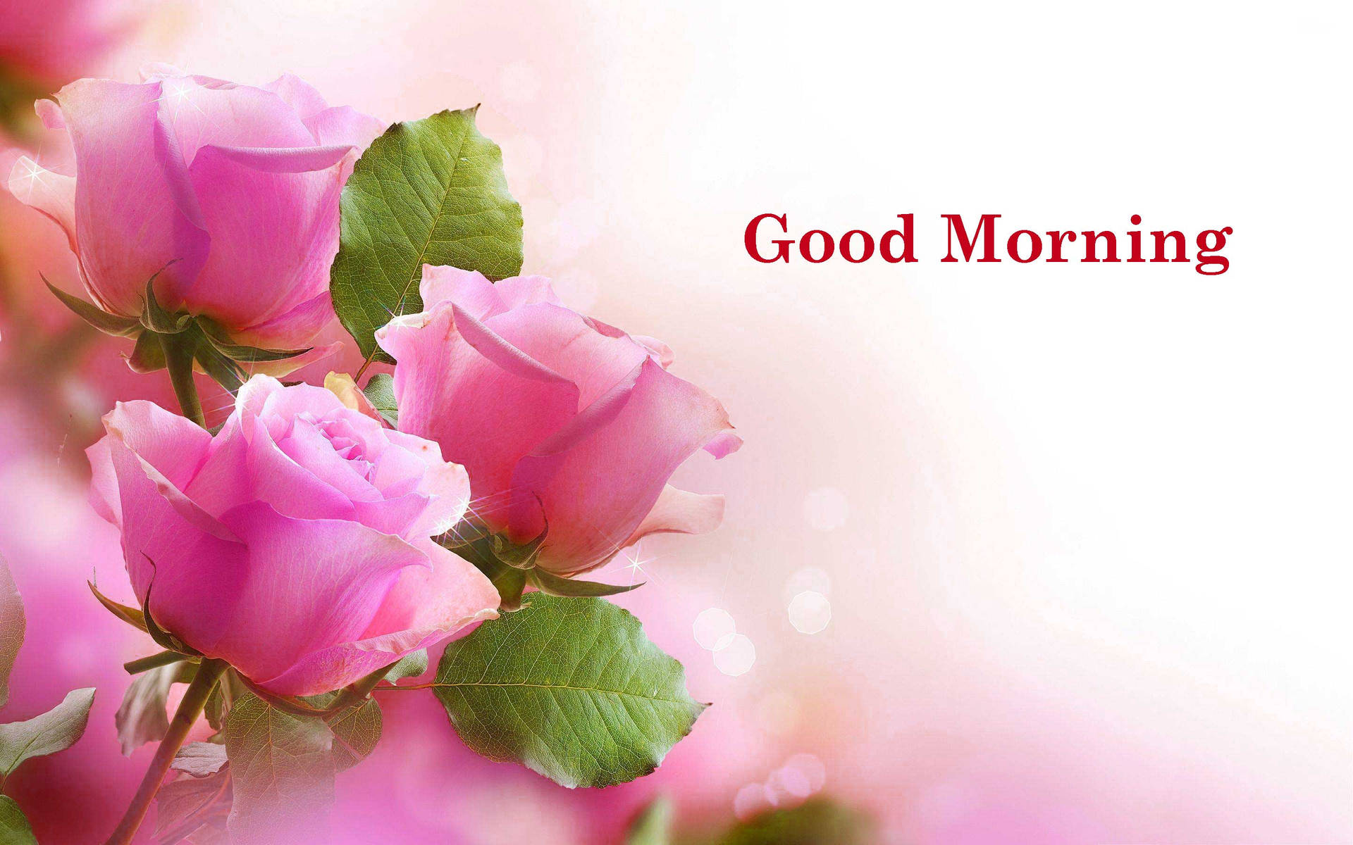 Good Morning Hd With Pink Flowers Background