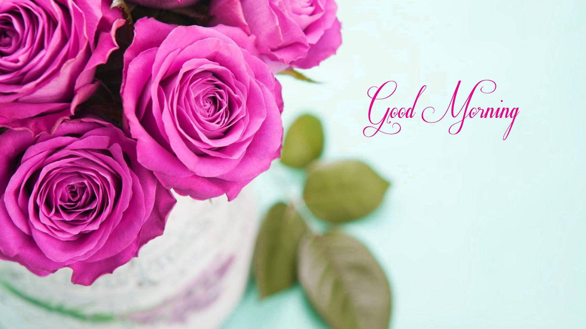Good Morning Hd With Pink Roses Background
