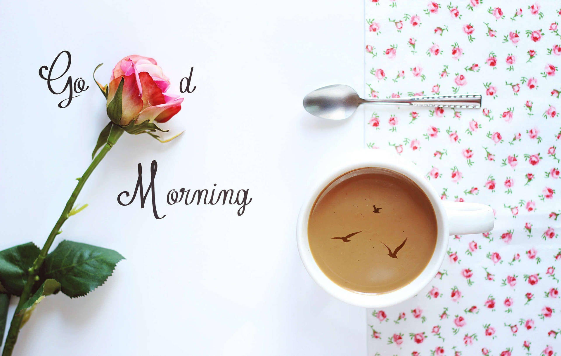 Good Morning Hd With Rose Background