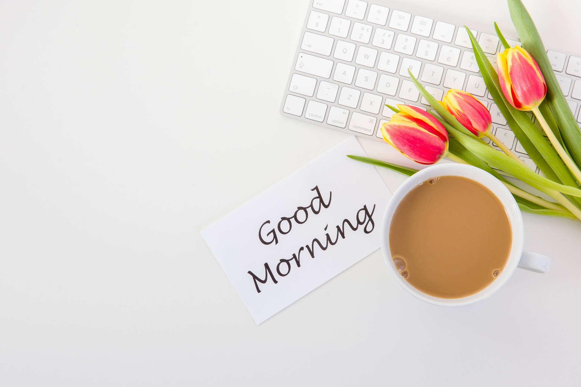 Good Morning On A White Desk With A Cup Of Coffee And Tulips Background