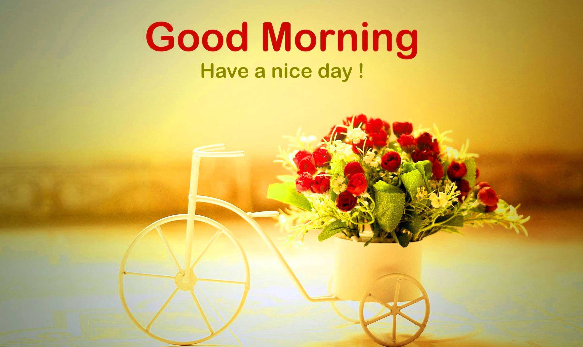 Good Morning Quote Bicycle Flower Background