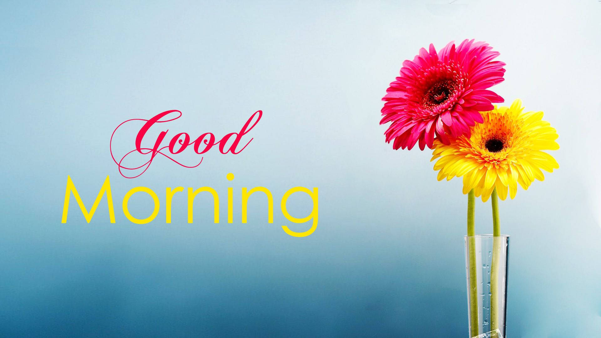 Good Morning Wallpaper With Flowers, Full Hd 1920x1080 Gm Image Background