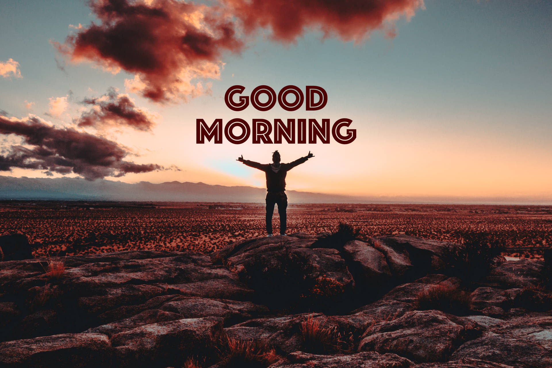 Good Morning Wallpapers Background