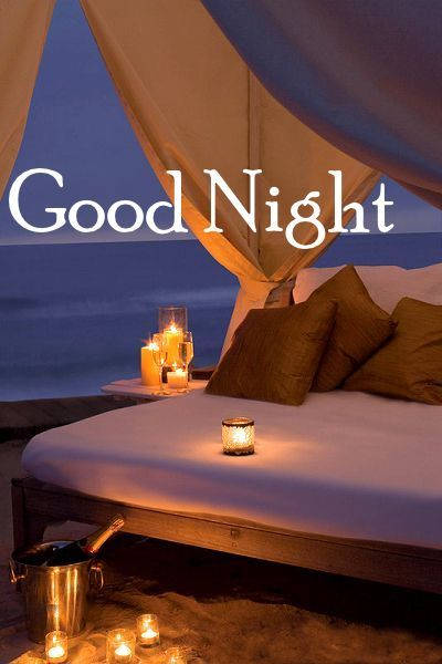 Good Night By The Shore