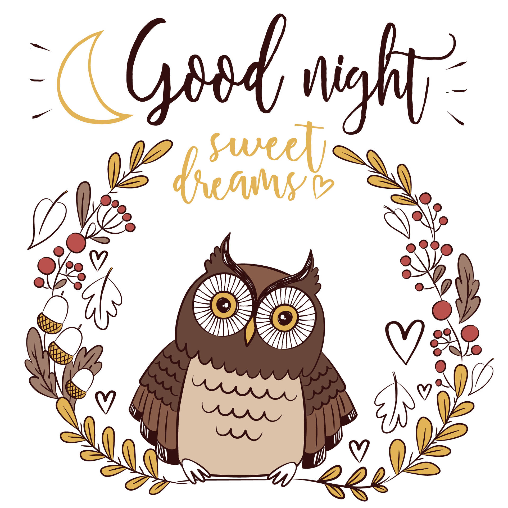 Good Night Owl Background
