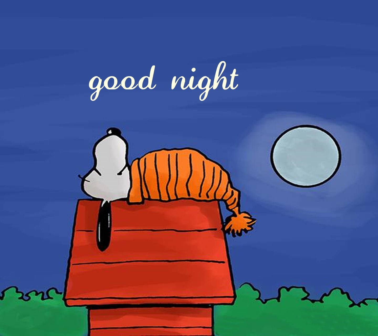 Good Night Sleeping Snoopy Background