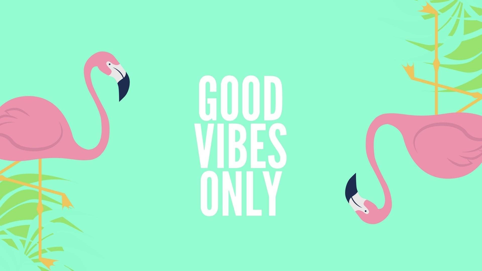Good Vibes Only With Flamingo Background