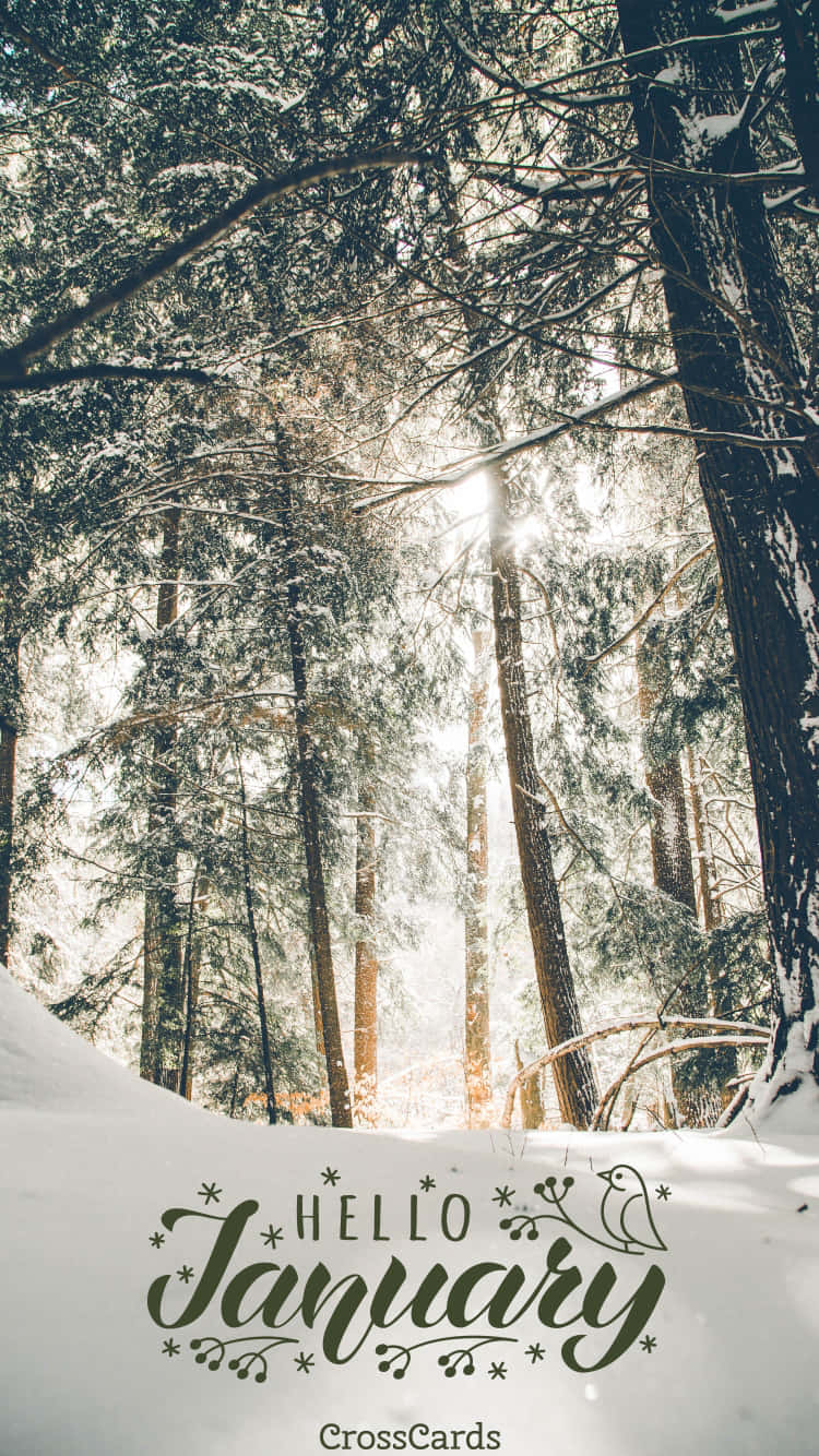 Goodbye December And Hello January! Background
