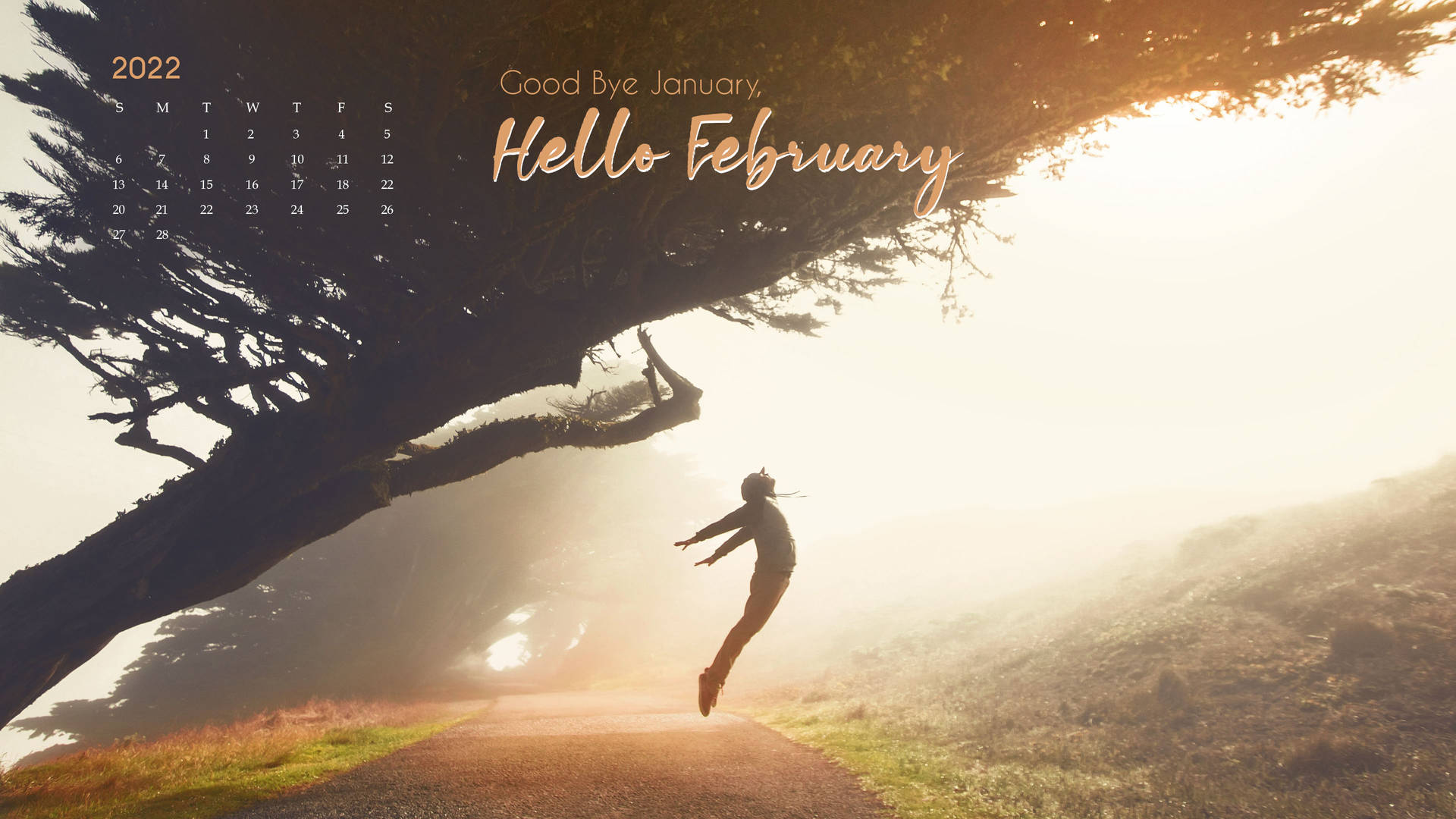 Goodbye January Hello February Calendar Background