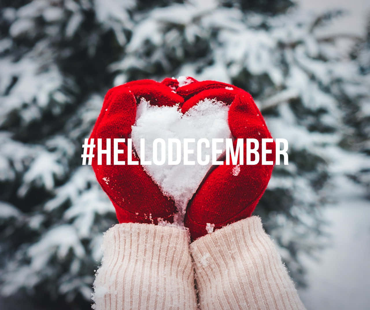 Goodbye November, Hello December! Background