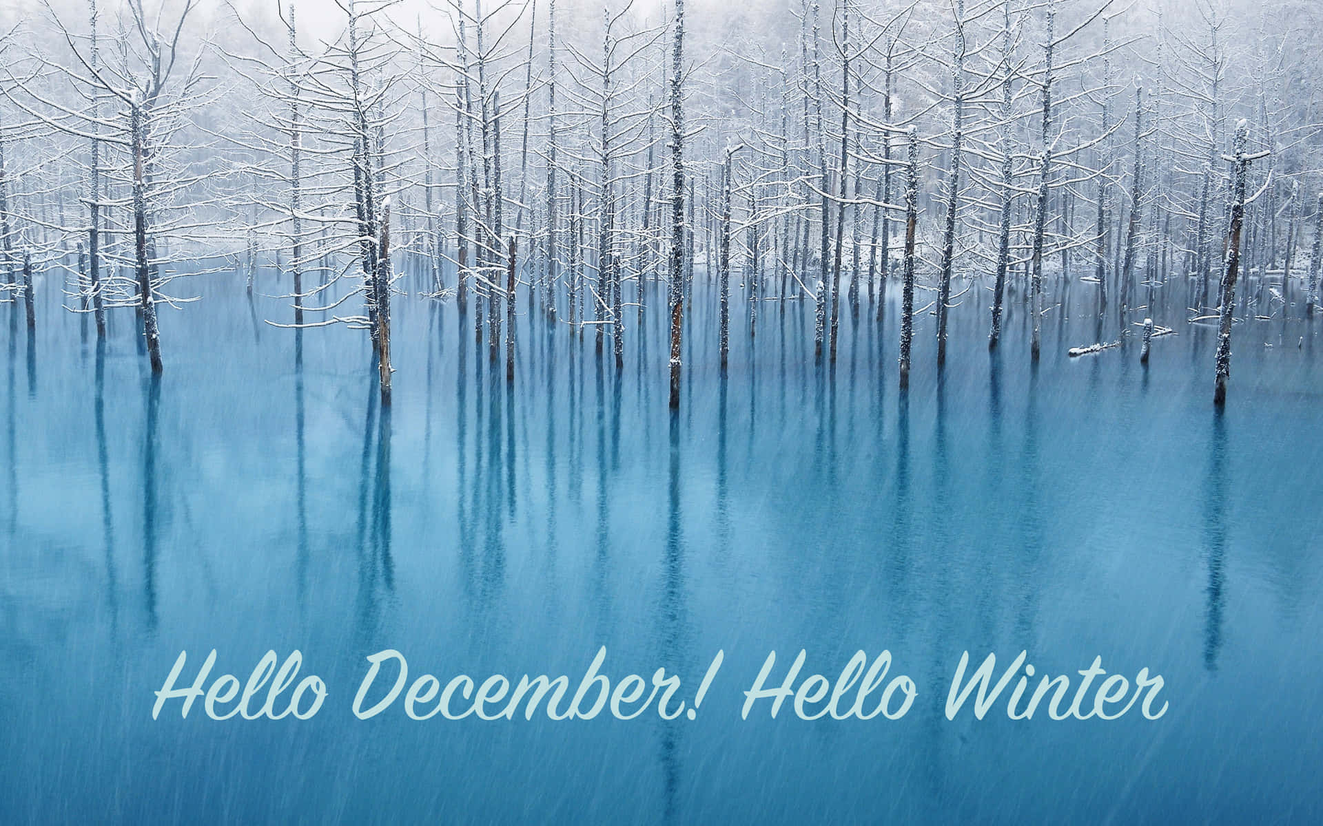 Goodbye November, Hello December Background