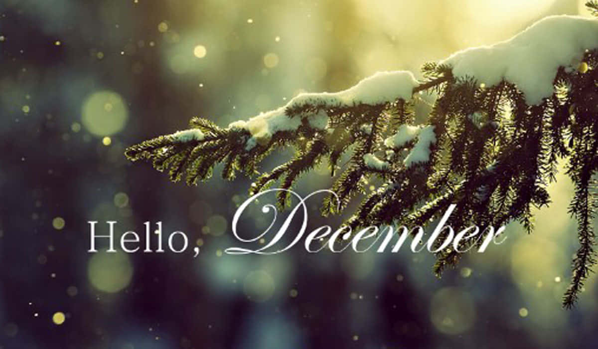Goodbye November, Hello December Background