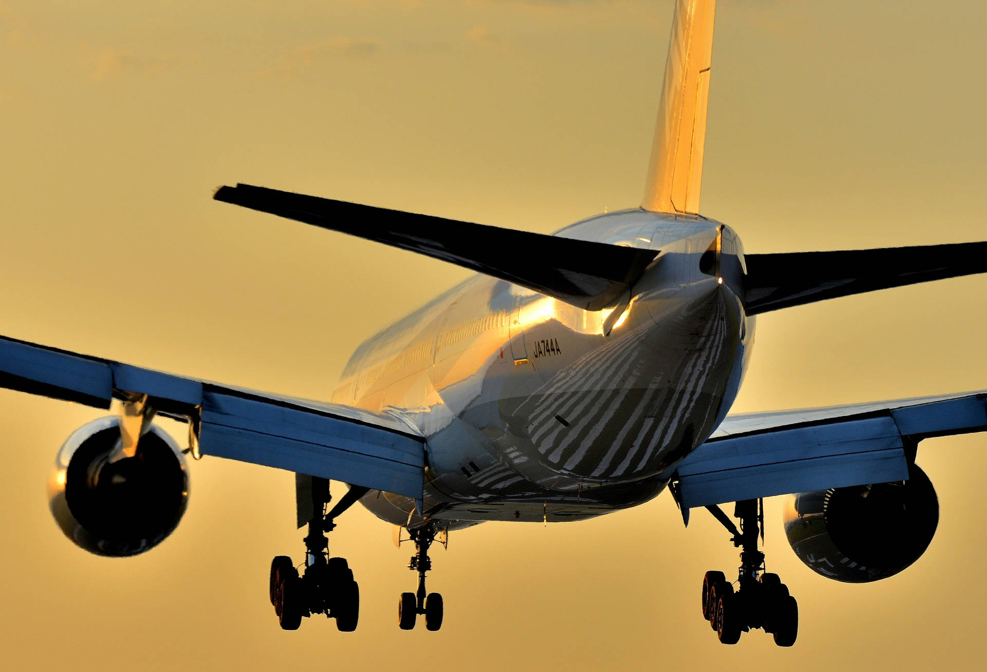 Google Flights Plane Tail Background