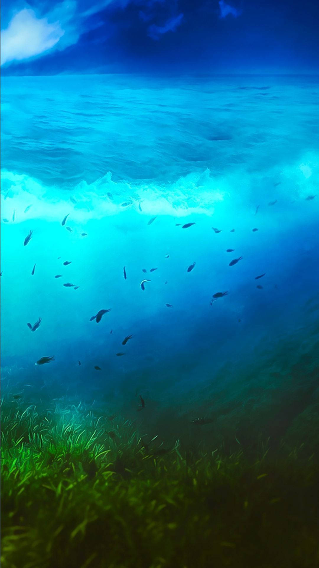 Google Pixel Under The Sea Background
