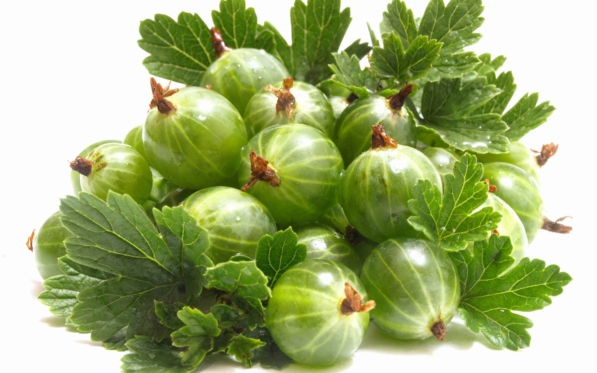 Gooseberry Amla Fruits Background