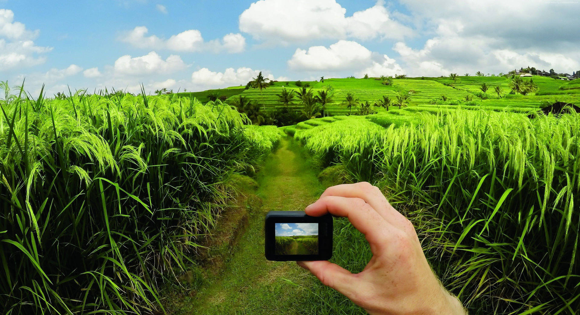 Gopro Grassy Pathway Background