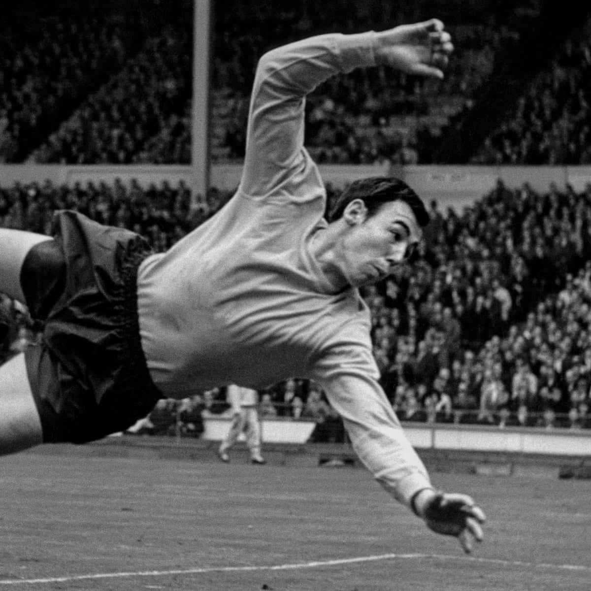 Gordon Banks Against Hungary 1965