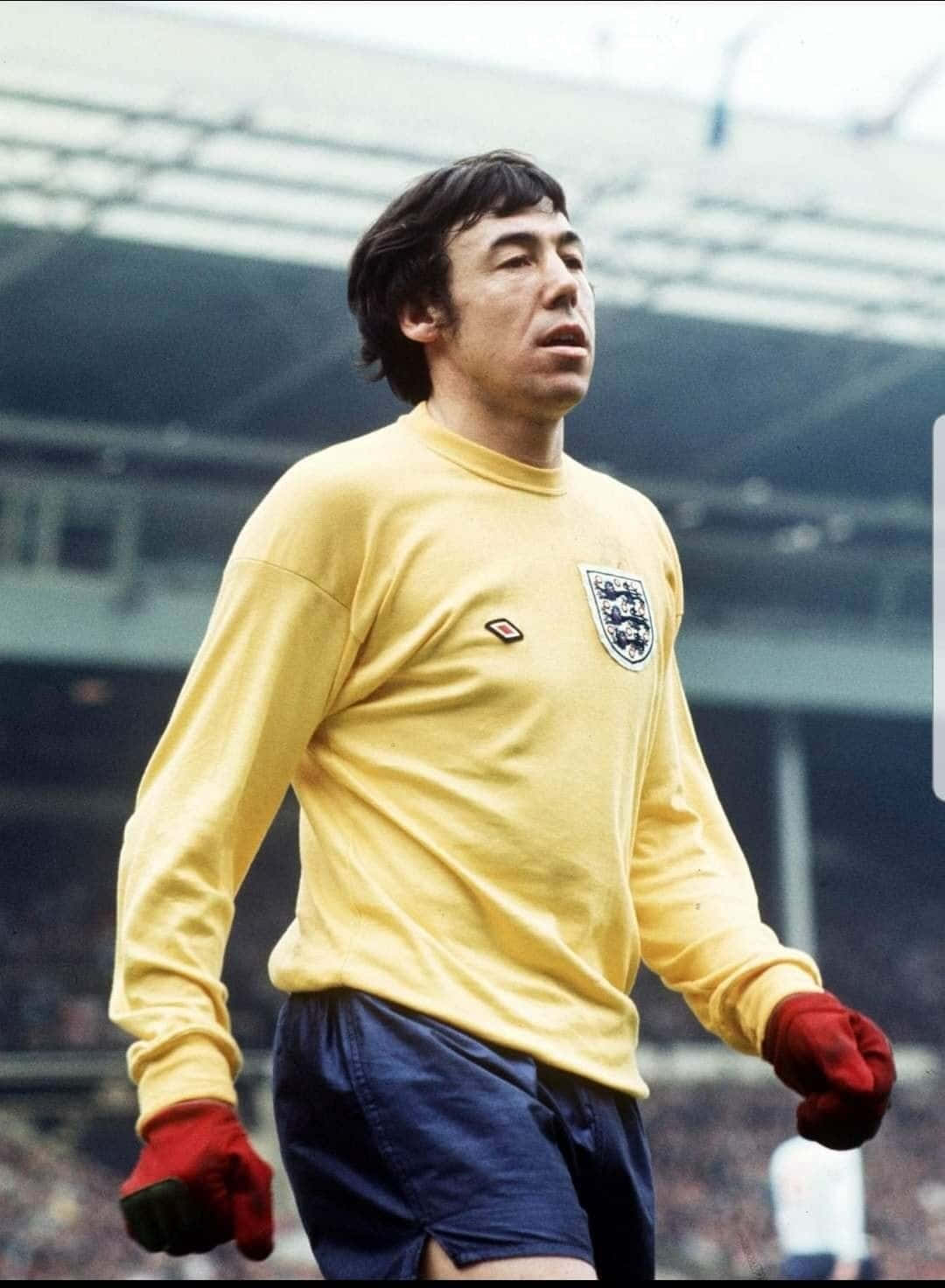 Gordon Banks During Match With Northern Ireland Background
