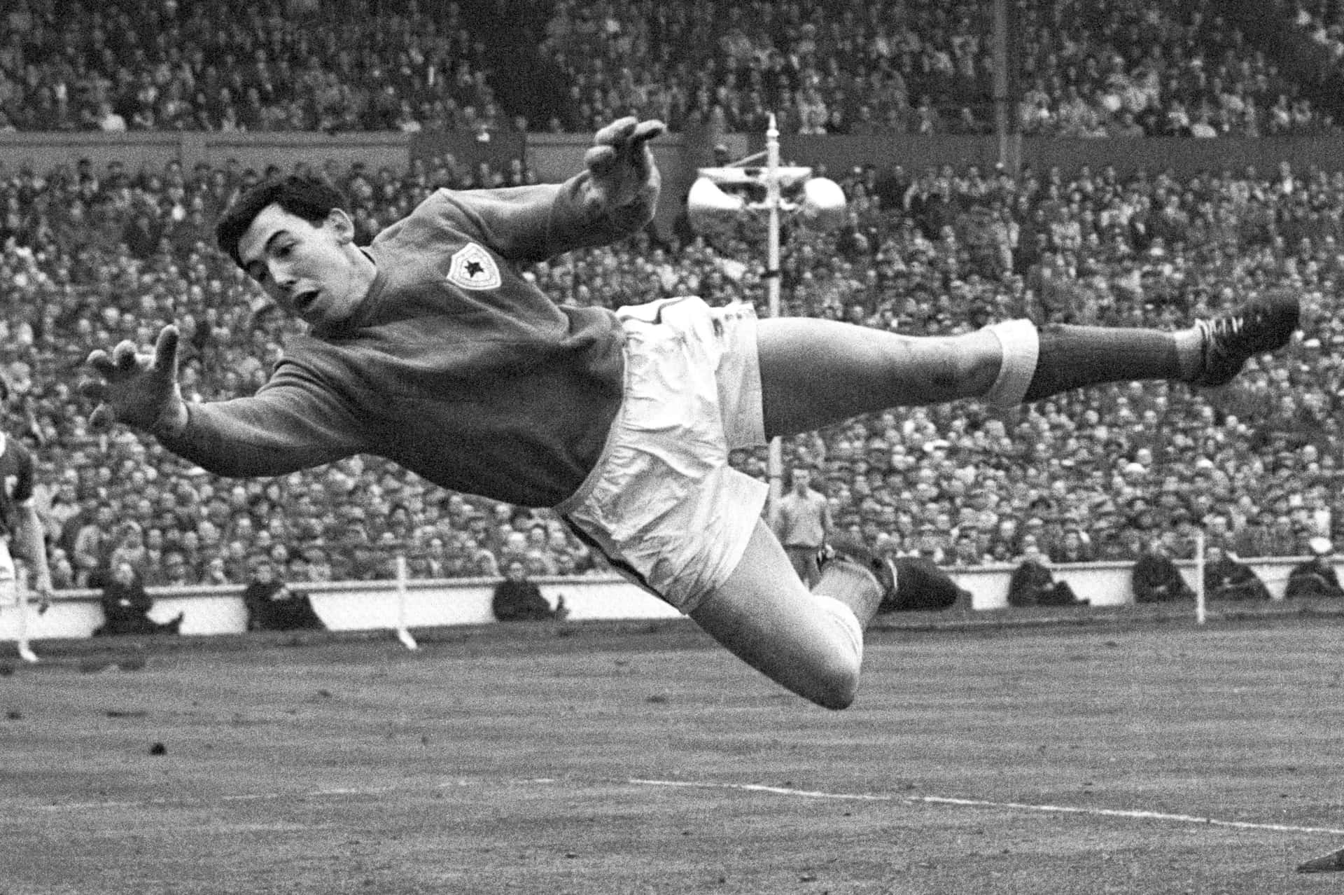 Gordon Banks In Action At The Fa Cup Finals Background