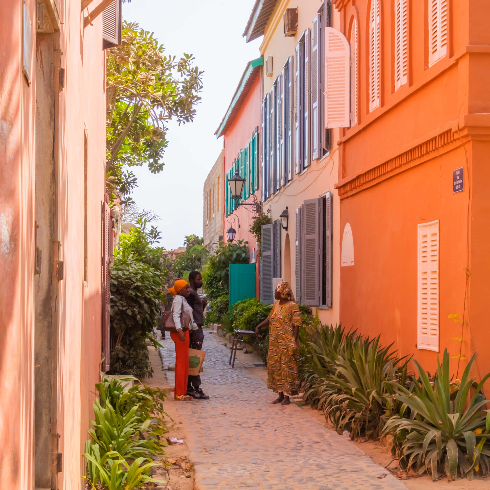 Goree Street Houses Background