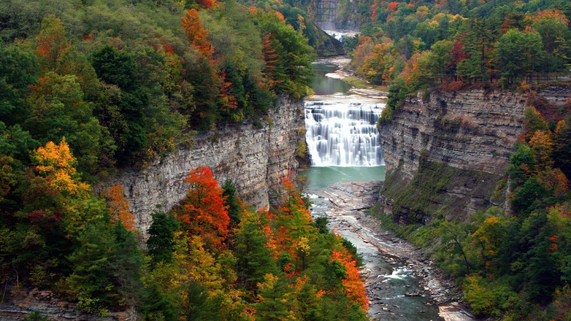 Gorgeous Autumn Foliage Throughout New York State Background