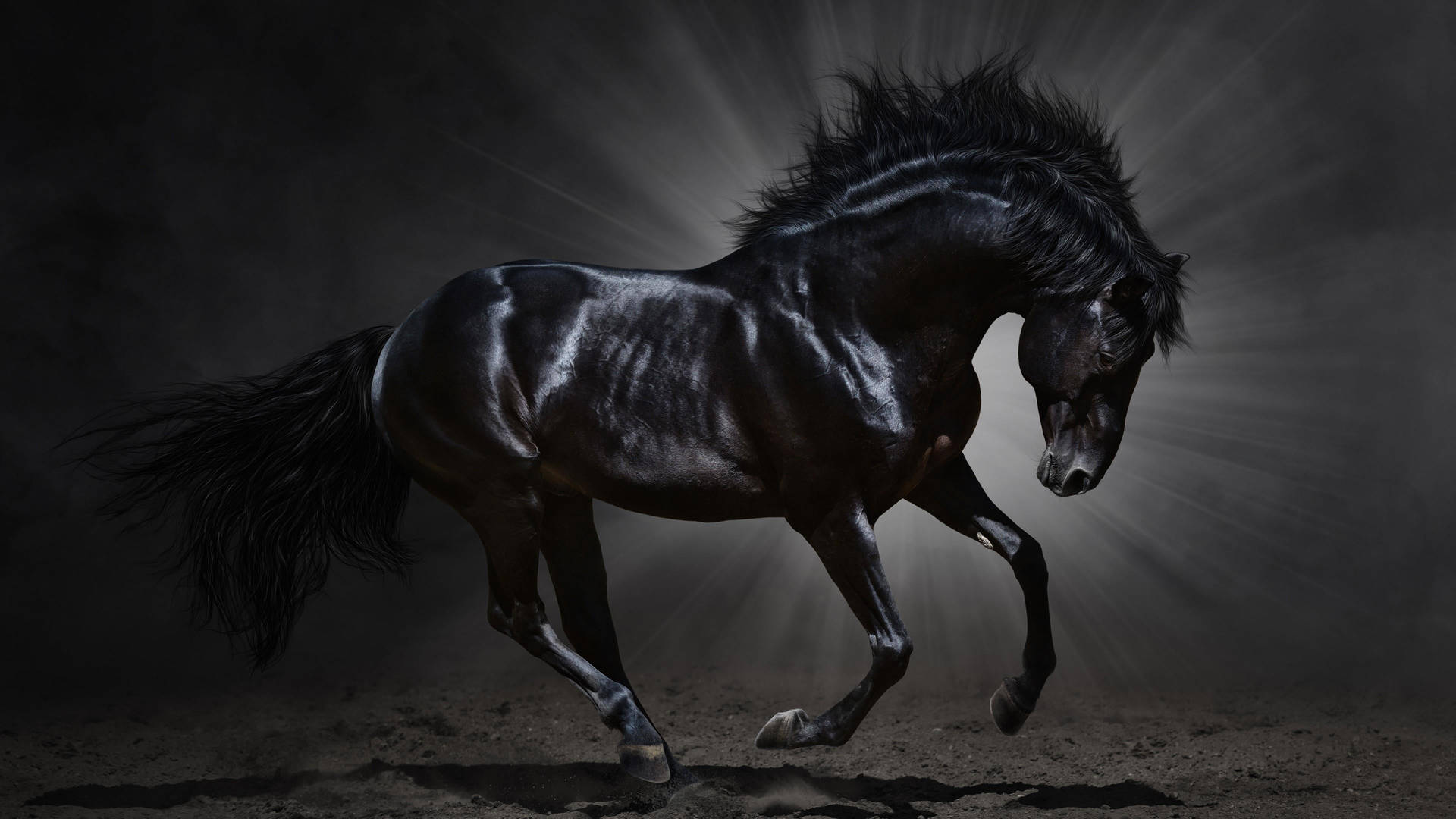 Gorgeous Black Running Horse Background