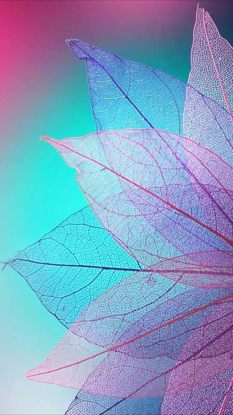 Gorgeous Fall Leaves Ready For The Autumn Season Background