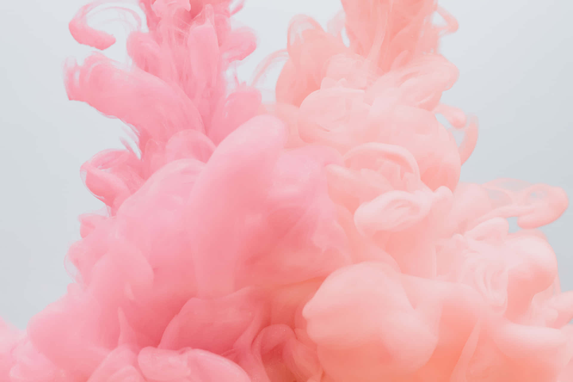 Gorgeous Fluffy Pink And White Aesthetic