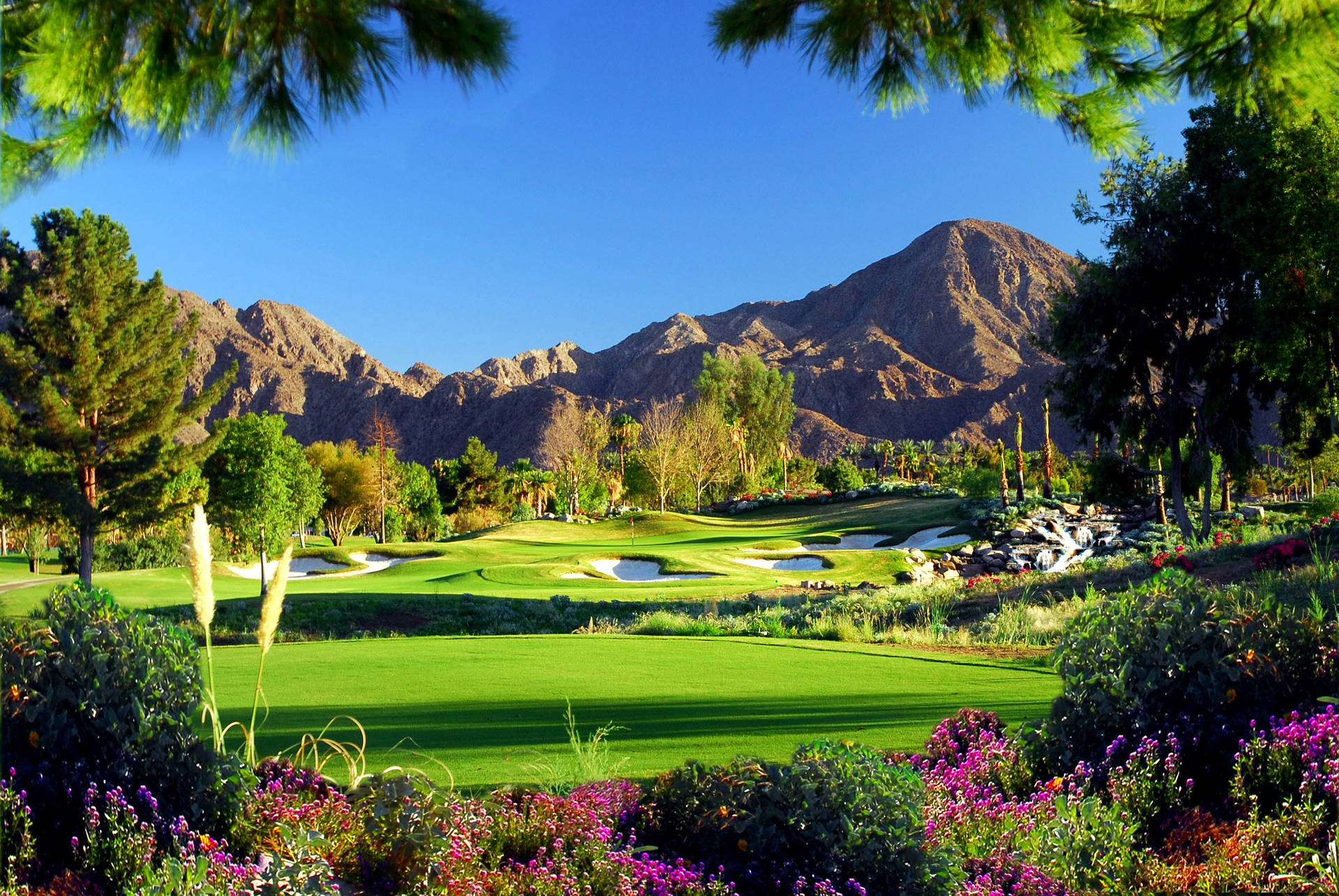 Gorgeous Golf Course Scenery Background