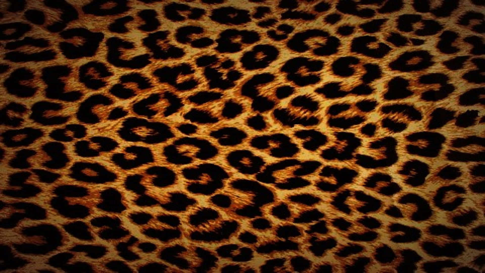 Gorgeous Leopard Pattern Wallpaper Background