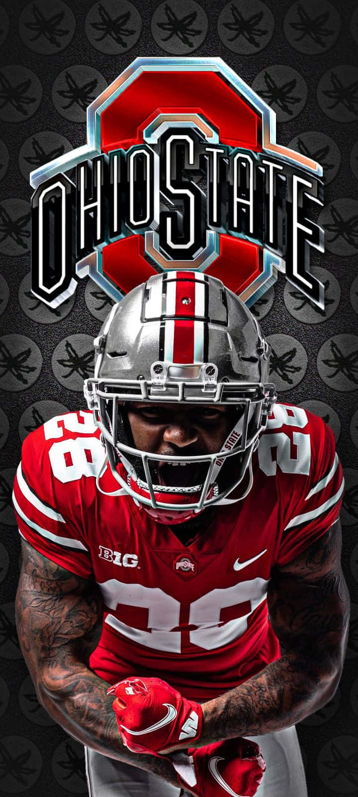 Gorgeous Ohio State Iphon Screene Background