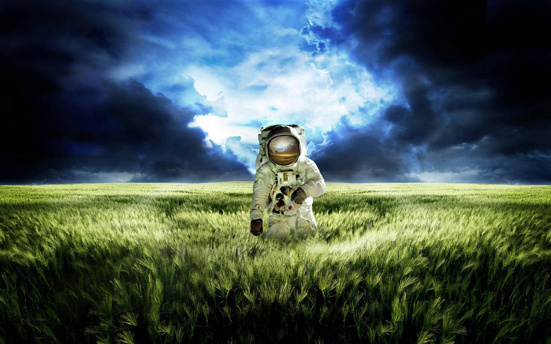 Gorgeous Photo Of Spaceman Strolling Across Field Background