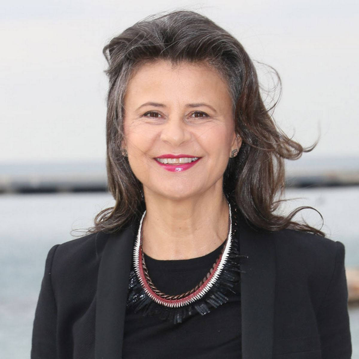 Gorgeous Portrait Of Tracey Ullman Background