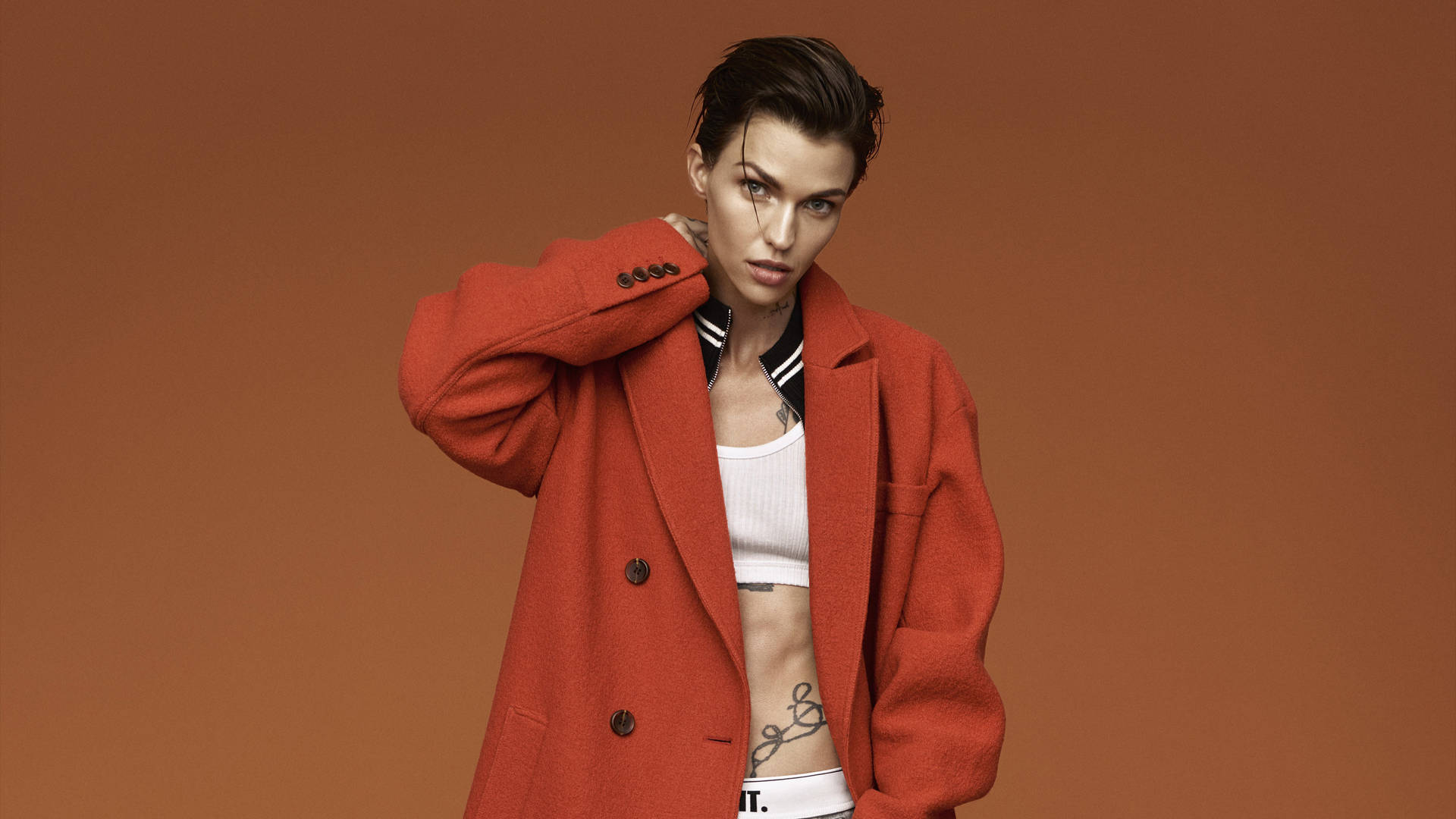 Gorgeous Ruby Rose In Orange Background