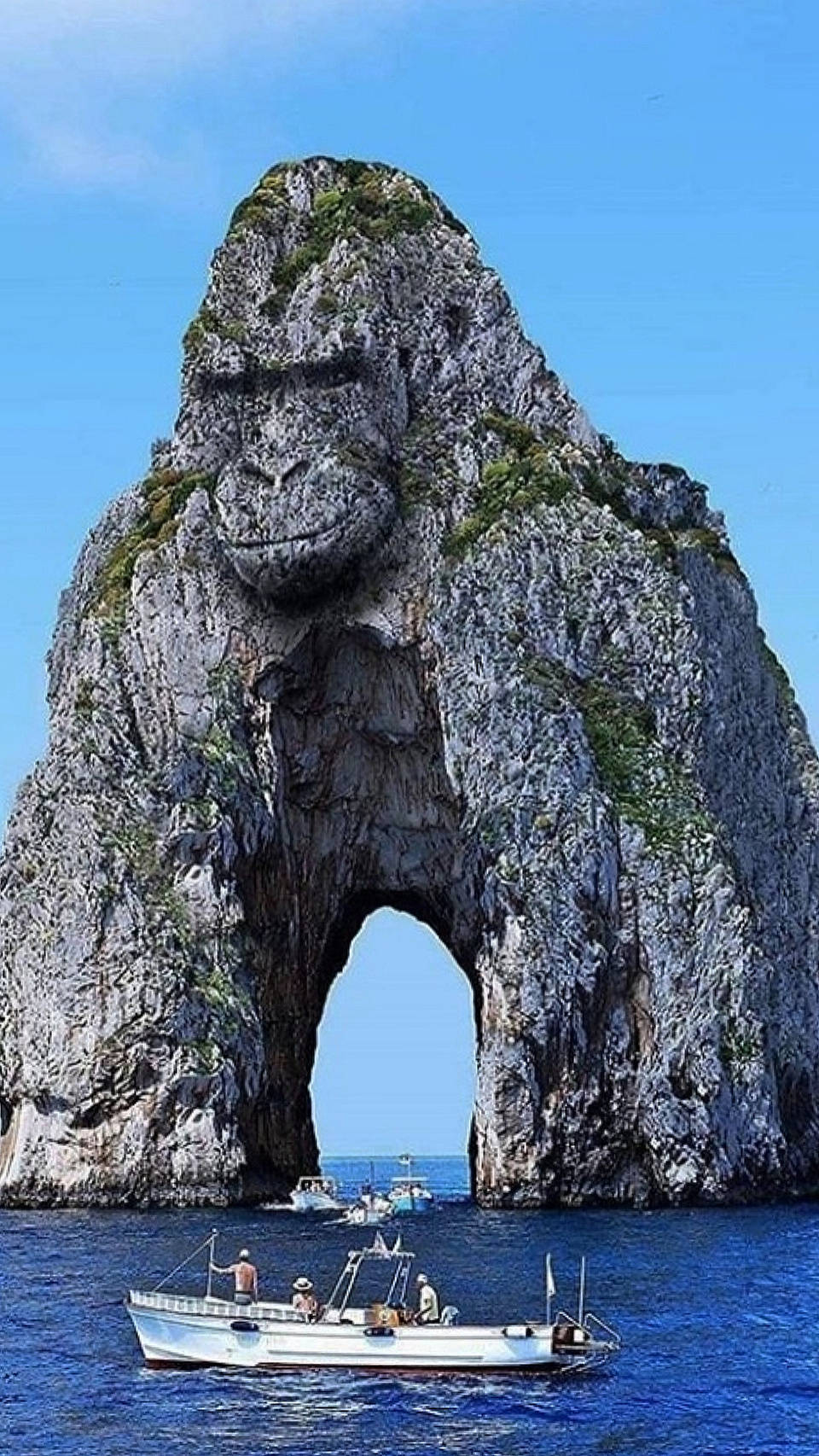 Gorilla Iphone Rock Island Background