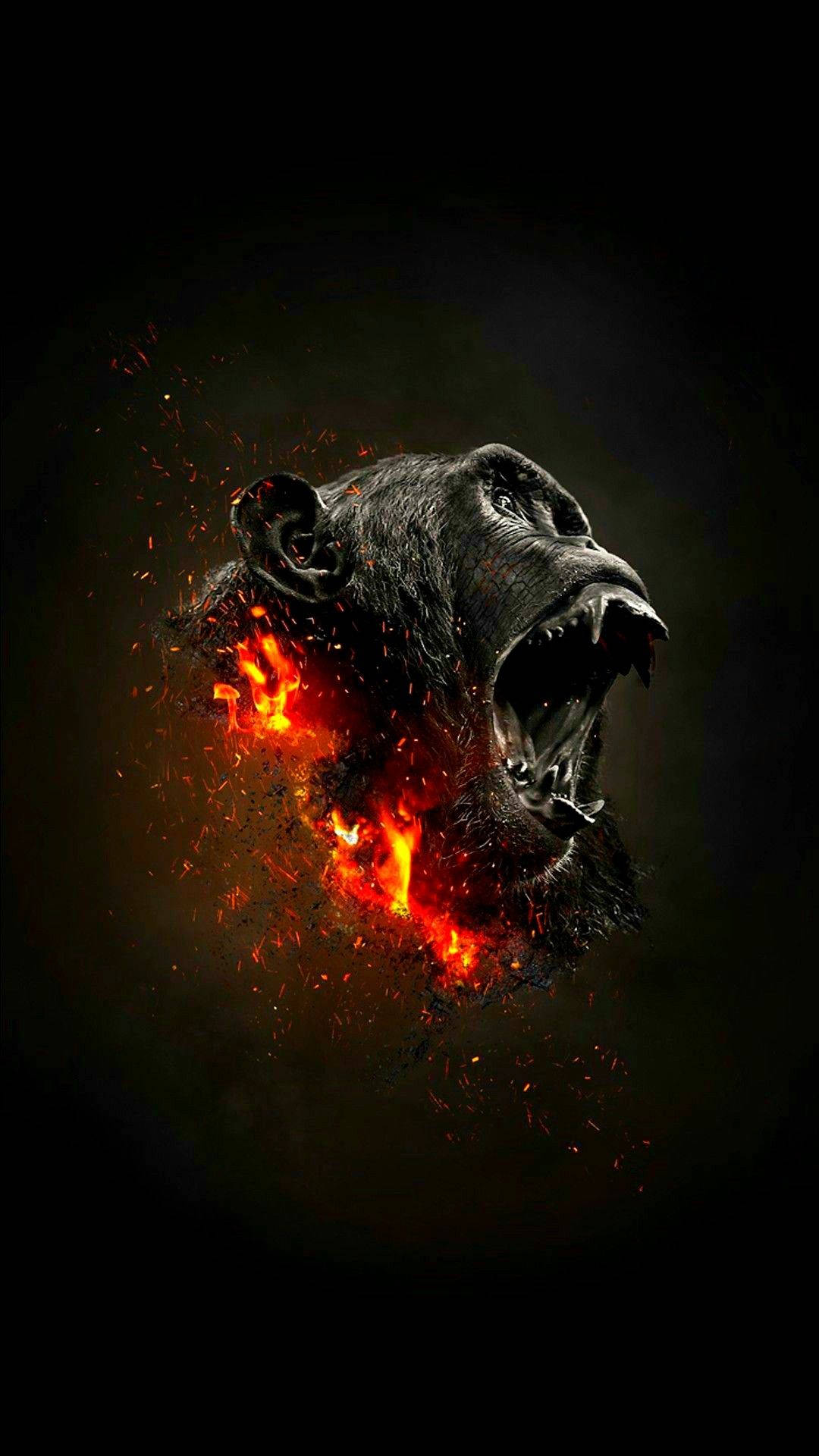 Gorilla's Head In Blazing Fire Background