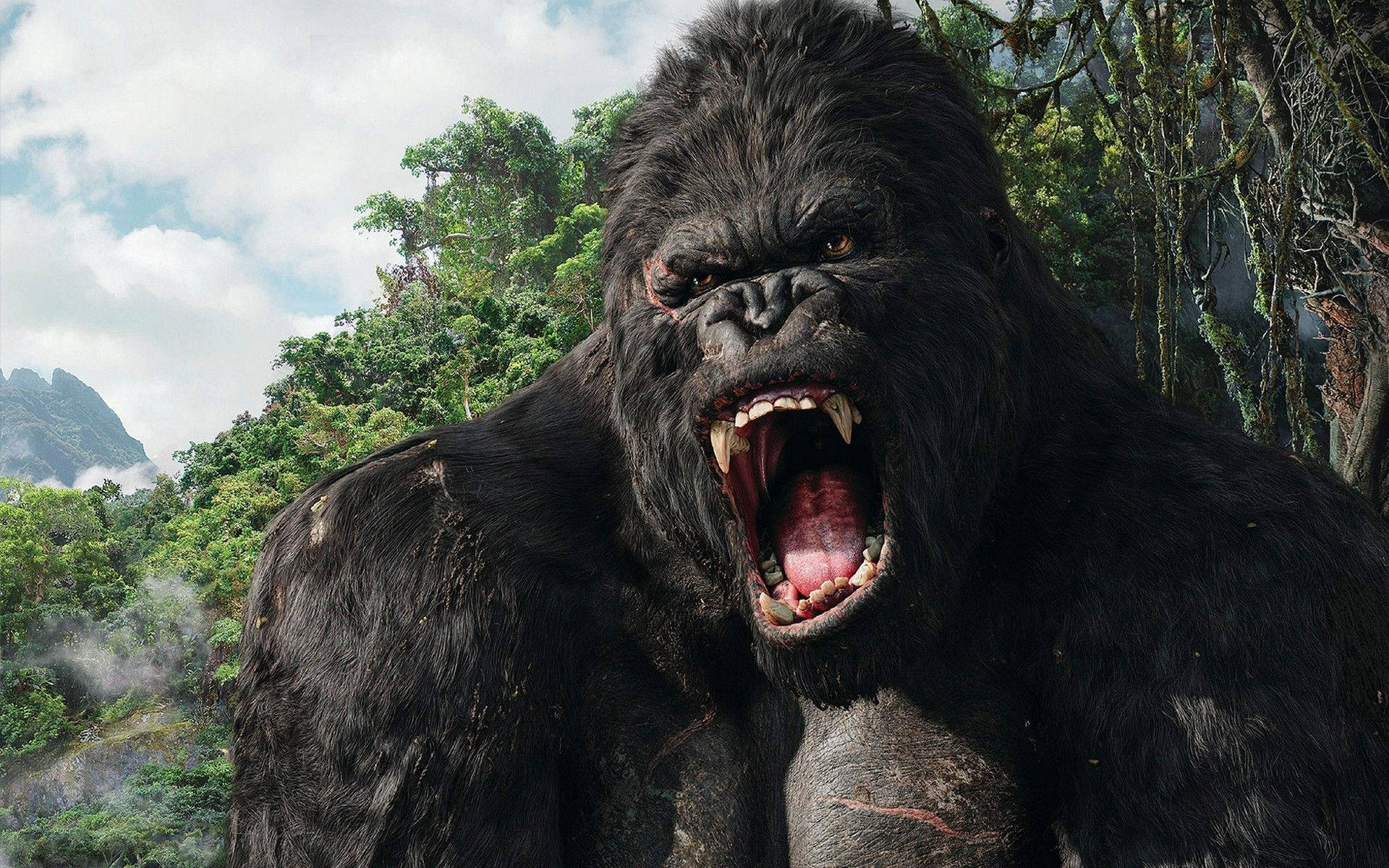 Gorilla With Scar Tissues Background