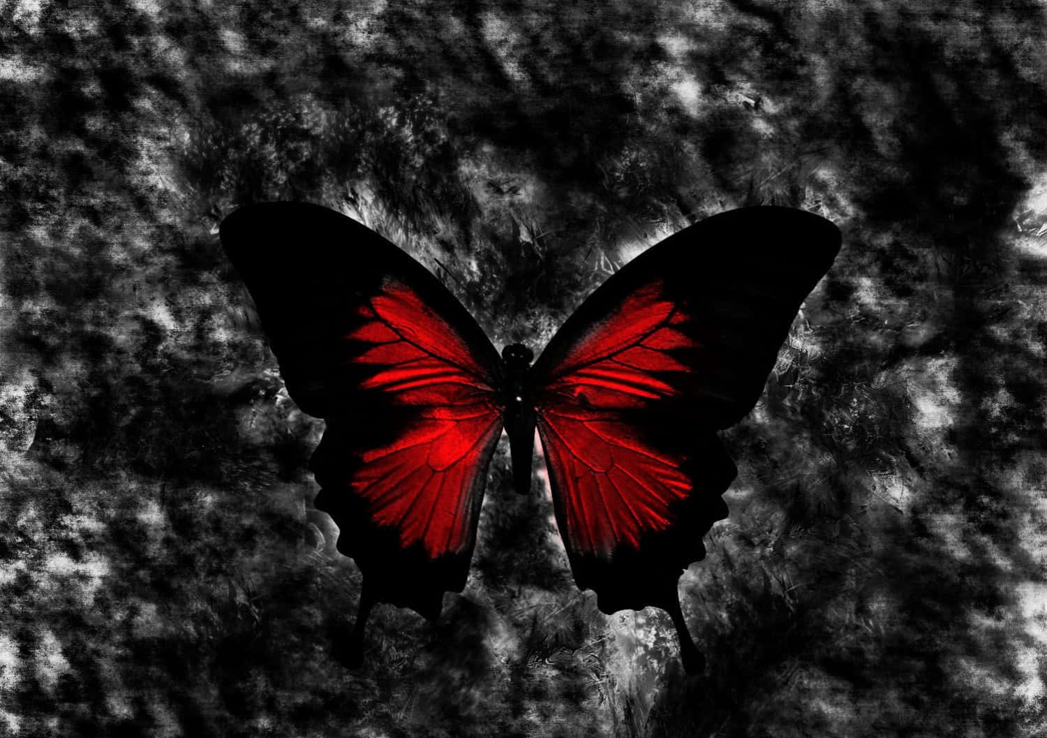 Gothic Computer Butterfly On Rock