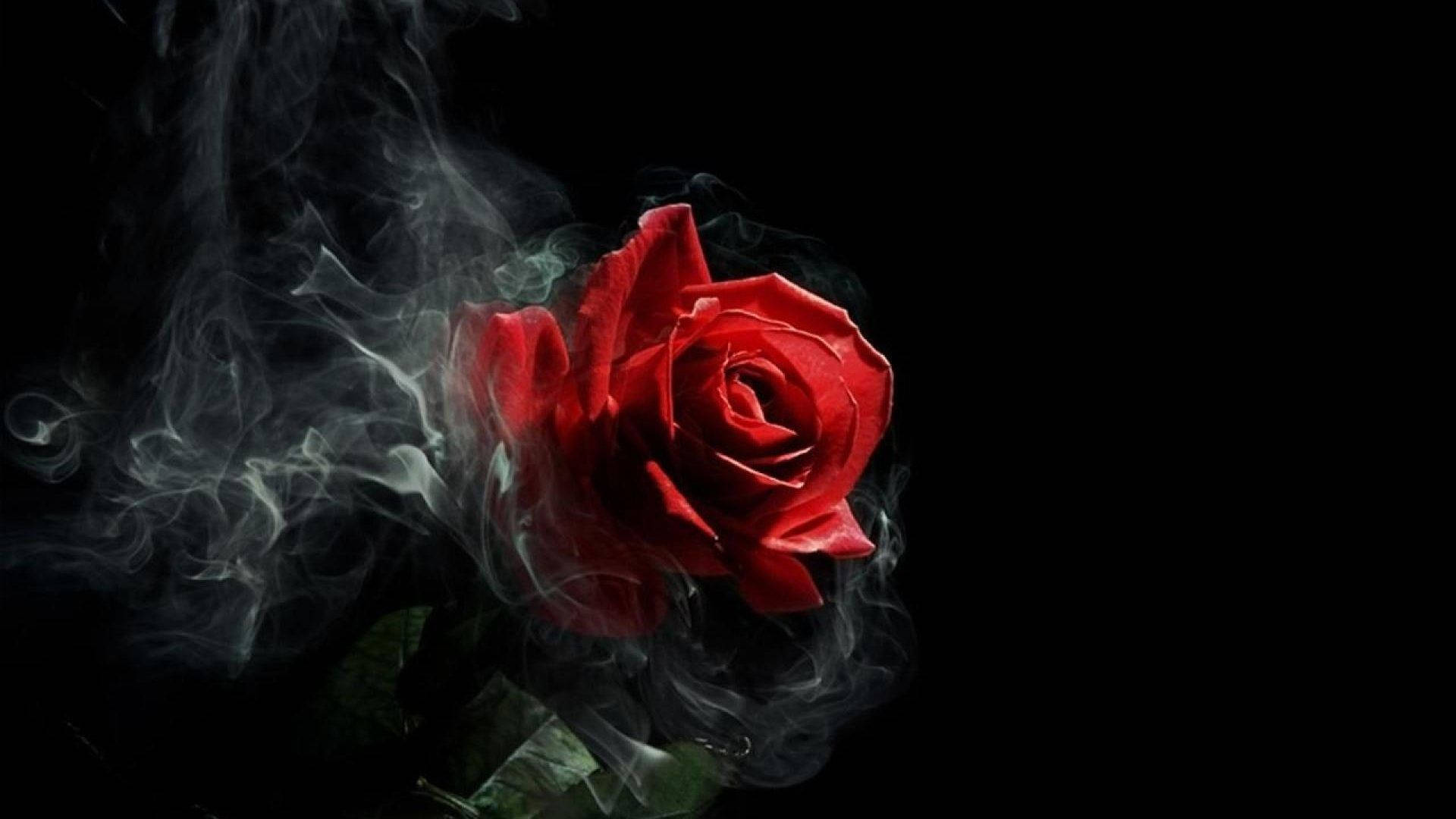 Gothic Smoke Rose Aesthetic Background