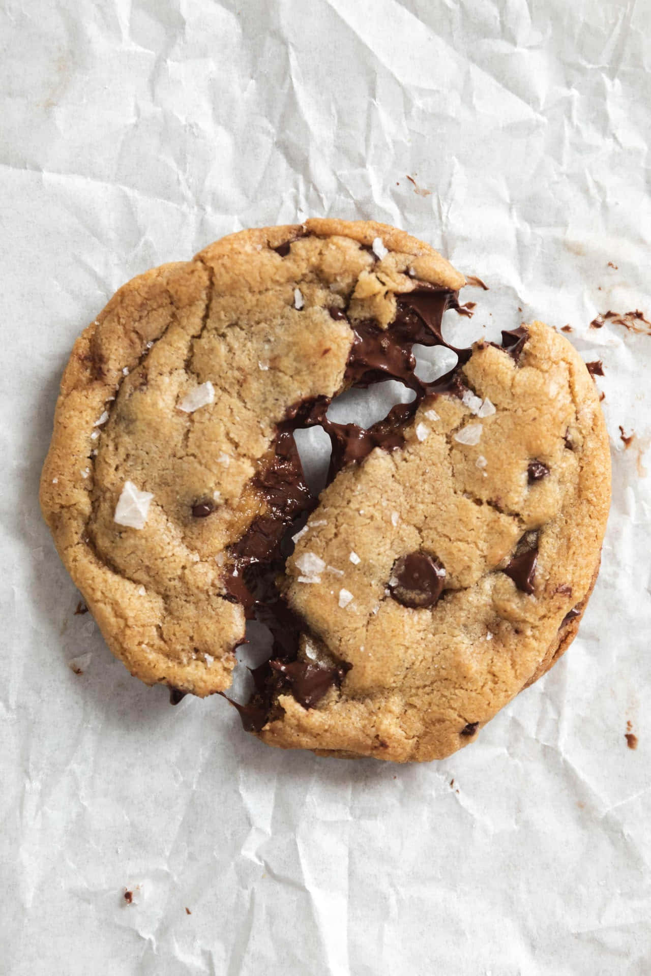 Gourmet Chocolate Chip Cookie Background