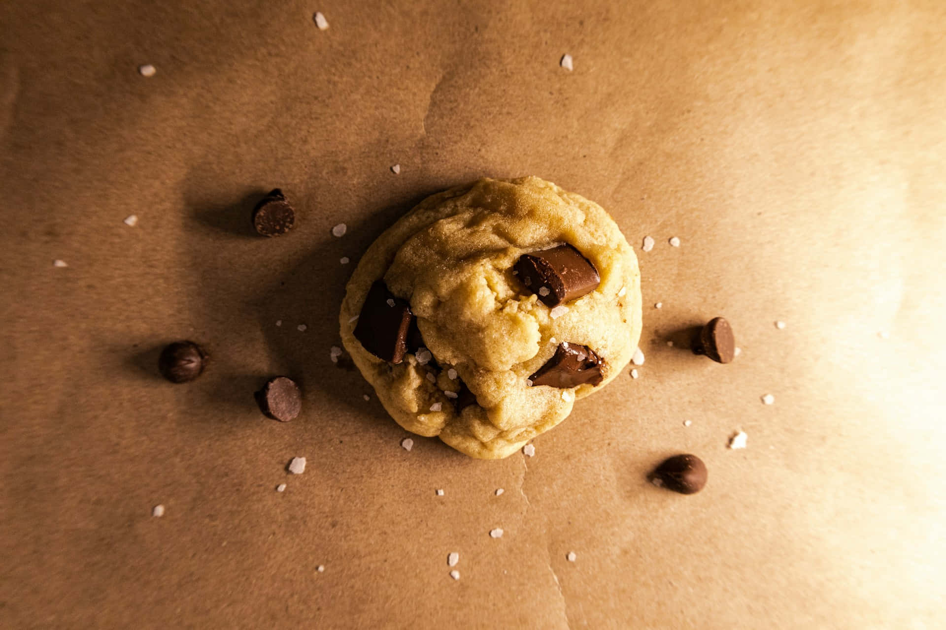 Gourmet Chocolate Chip Cookie Background