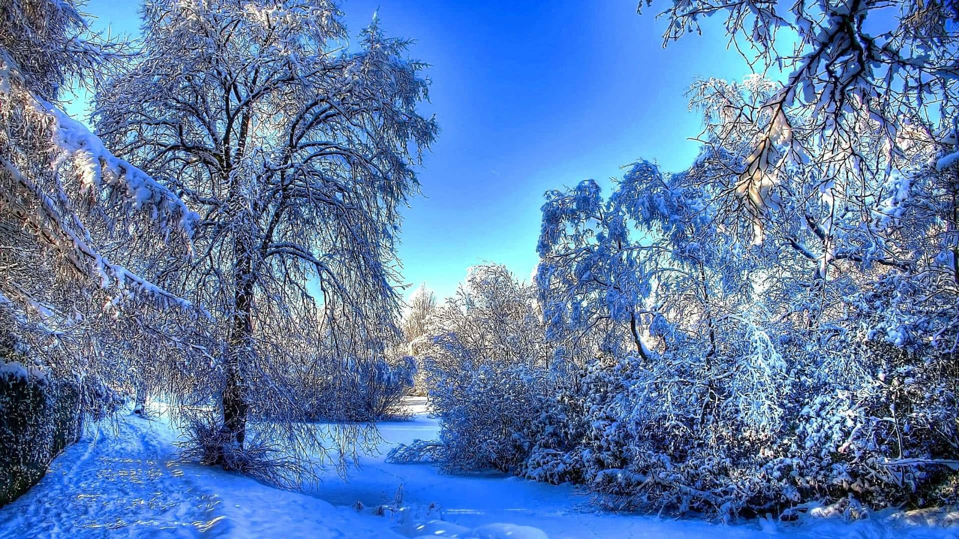 Grab Your Laptop And Enjoy The Winter Background