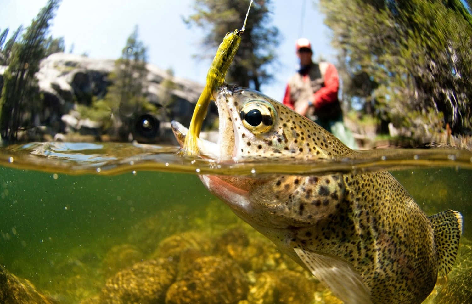 Graceful Art Of Fly Fishing Background