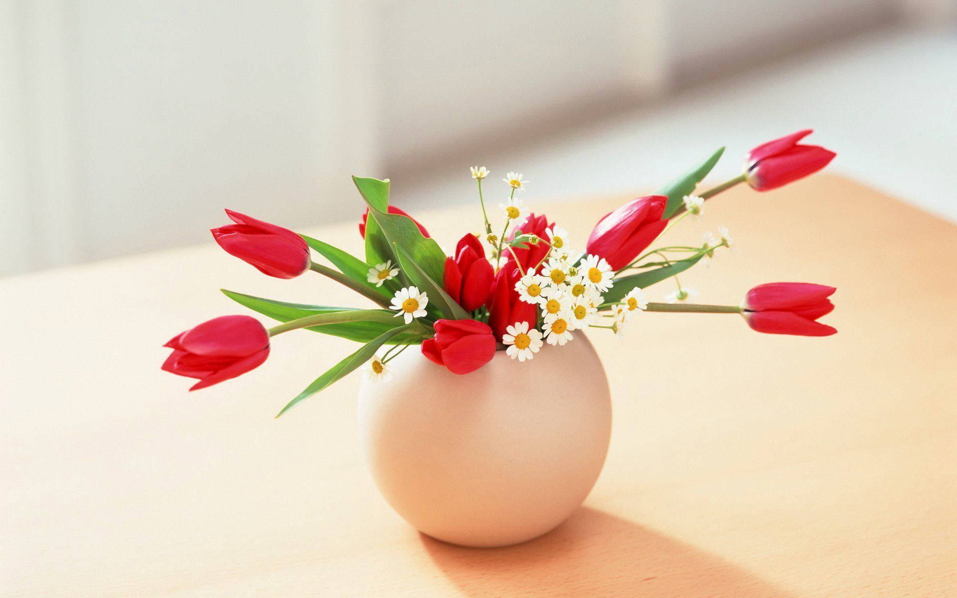 Graceful Red Tulips In Elegant Vase Background